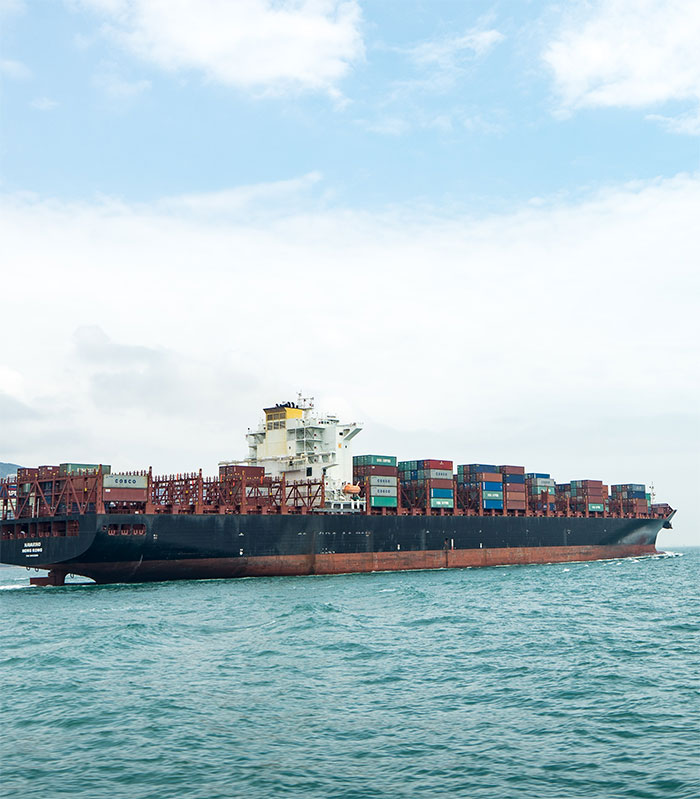 NET LOGISTICS: 15 Years of Excellence
